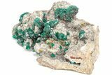 Sparkling Dioptase and Mimetite on Dolomite - N'tola Mine, Congo #209694-2